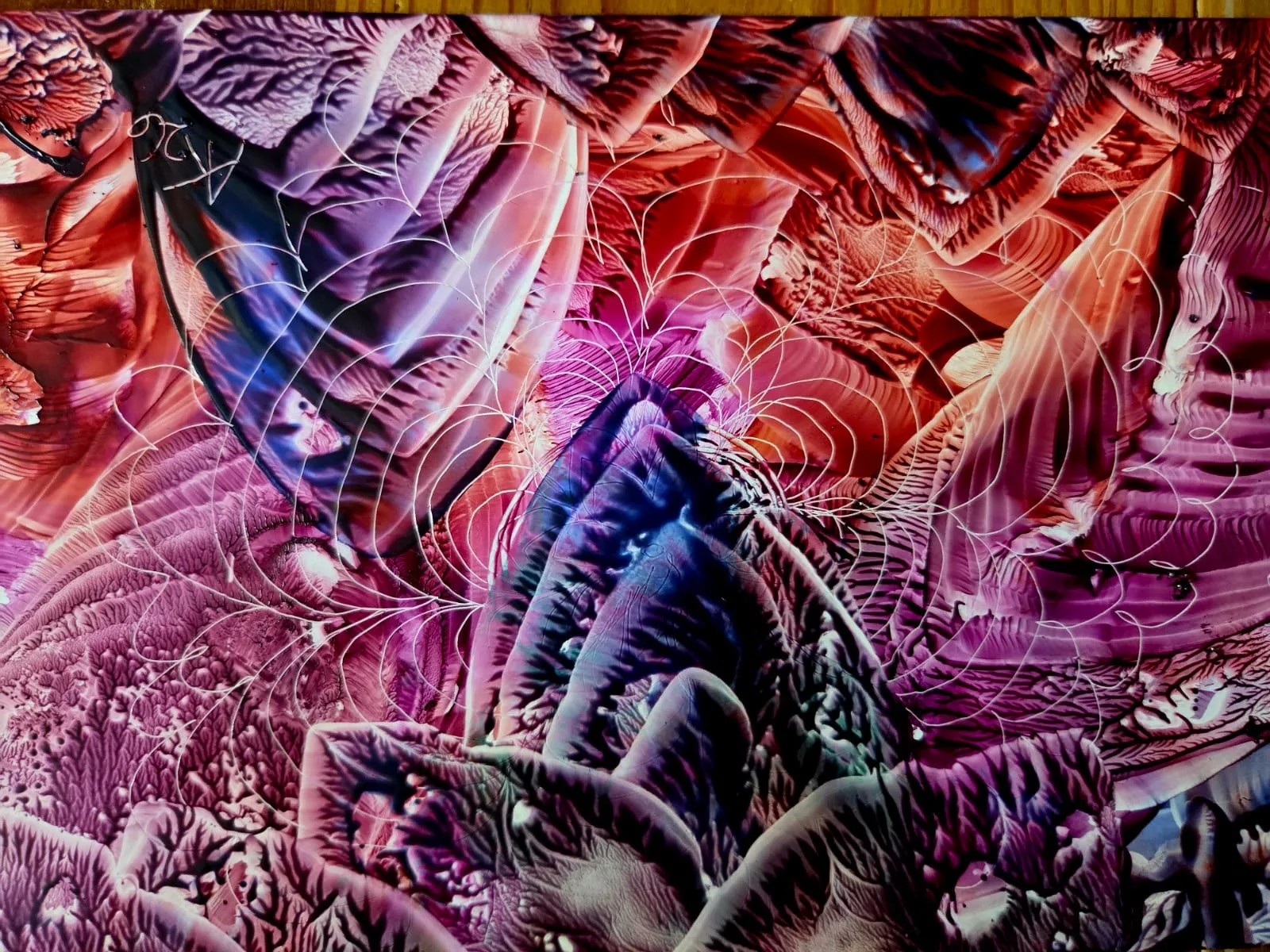 Mystical Universe